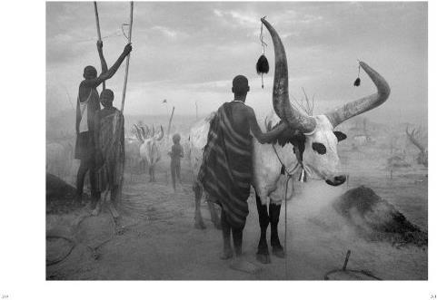 Image du produit Sebastião Salgado. Genesis (Allemand, Lélia Wanick Salgado, 2013)