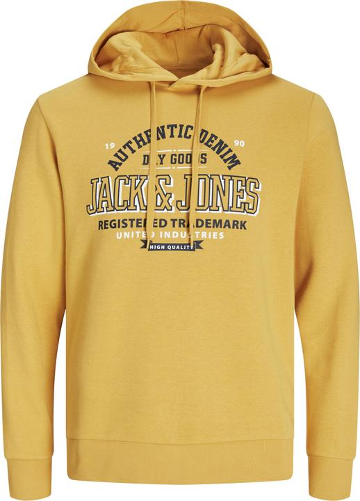 Jack & Jones JJELOGO SWEAT HOOD 2 COL 24/25 NOOS