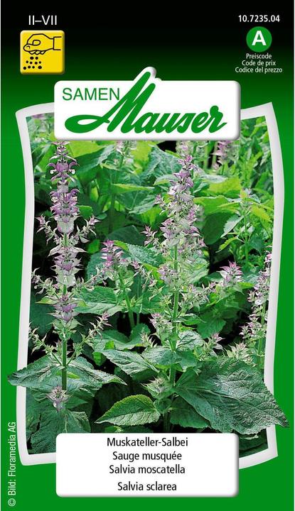 Image du produit Samen Mauser Sauge muscat (Graines d'herbes aromatiques)