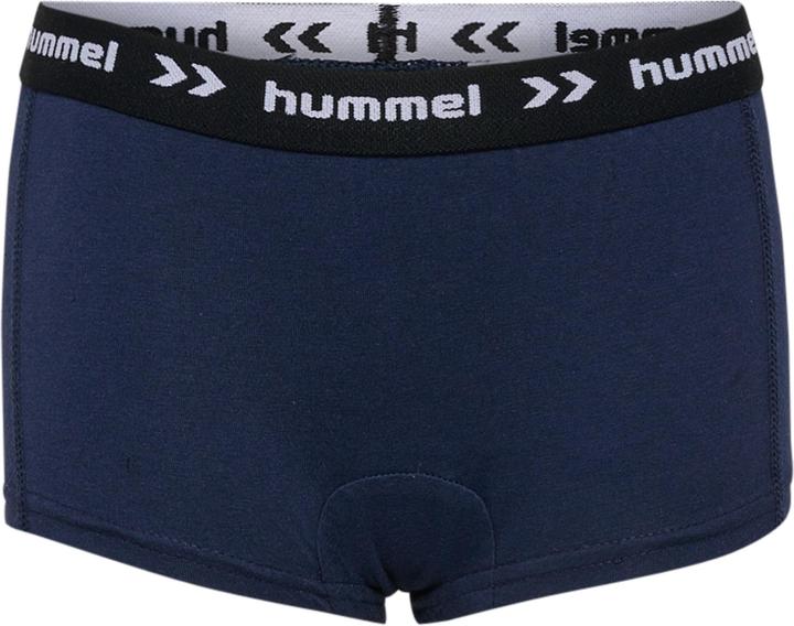 Actual product image hummel hmlNALA HIPSTERS 3 PAK (34, 35, 36, 37, 38, 39, 40, pack of 3)