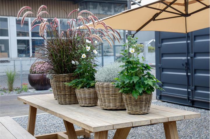 Produktbild Jaco Pflanzentopf Rattan Korb rund (50 cm)