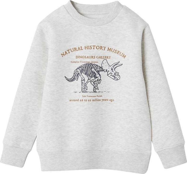 Vertbaudet Jungen Sweatshirt mit Print, Recycling-Polyester Basic (158)