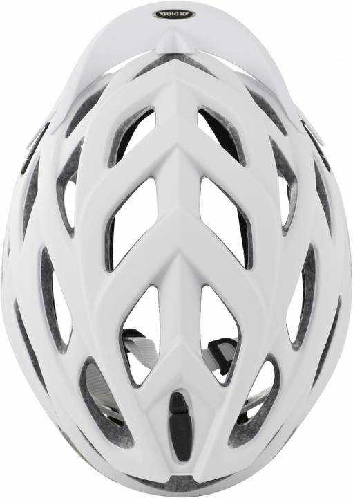 Actual product image ALPINA SPORTS D-Alto L.E. (57 - 61 cm)