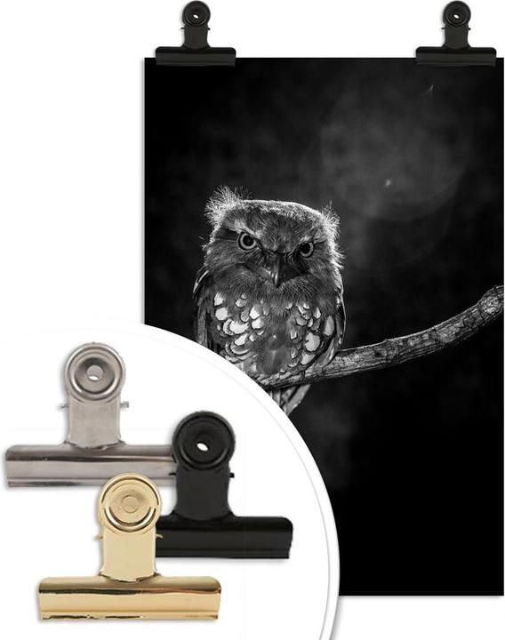 Image du produit Trenddeko Wilianto - Hibou furtif (80 x 120 cm)