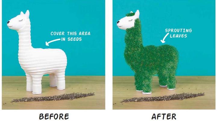 Image du produit Gift Republic Lama végétal de chia