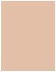 Actual product image Dermacol BB Beauty Balance Cream 8 IN 1 (1 Fair)