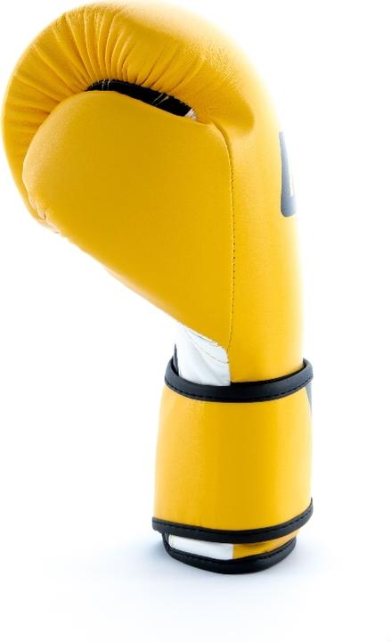 Image du produit UFC PRO Fitness Training Glove (16 OZ)