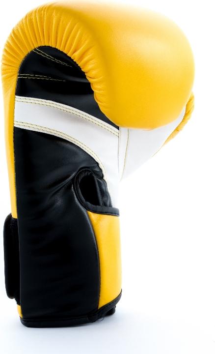 Image du produit UFC PRO Fitness Training Glove (16 OZ)