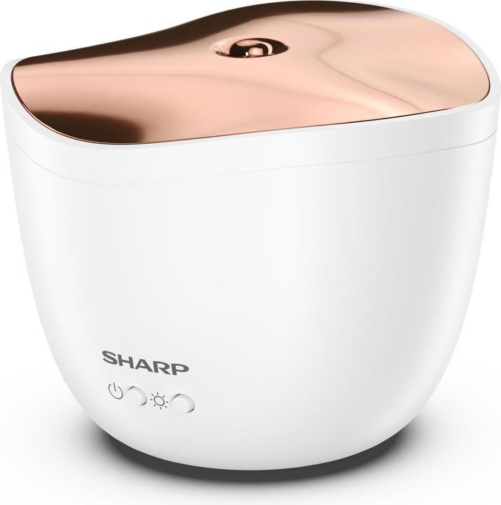 Produktbild Sharp DF-A1E-W