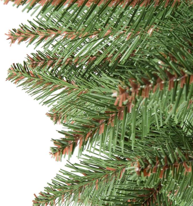 Produktbild FairyTrees Nordmanntanne (180 cm)