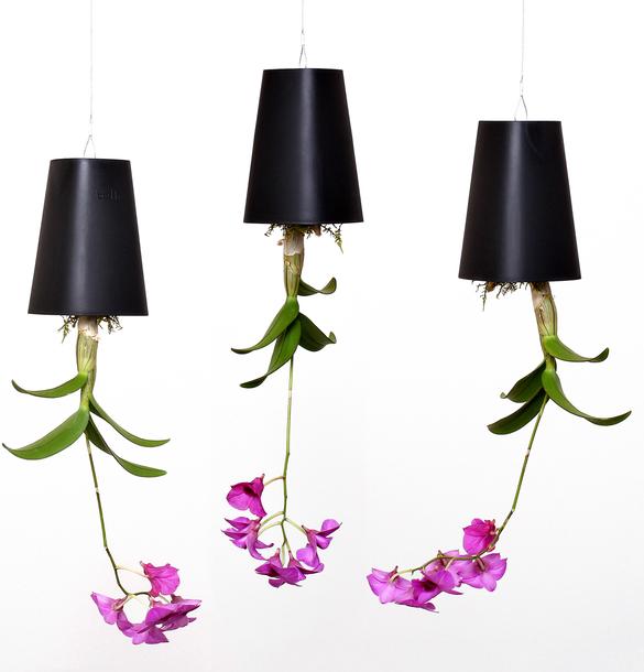 Immagine prodotto boskke Fioriera Sky Small (9.50 cm)