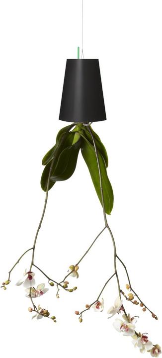 Immagine prodotto boskke Fioriera Sky Small (9.50 cm)