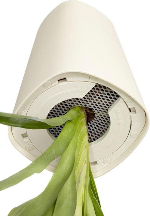 Actual product image boskke Sky Planter Ceramic Medium (20 cm)