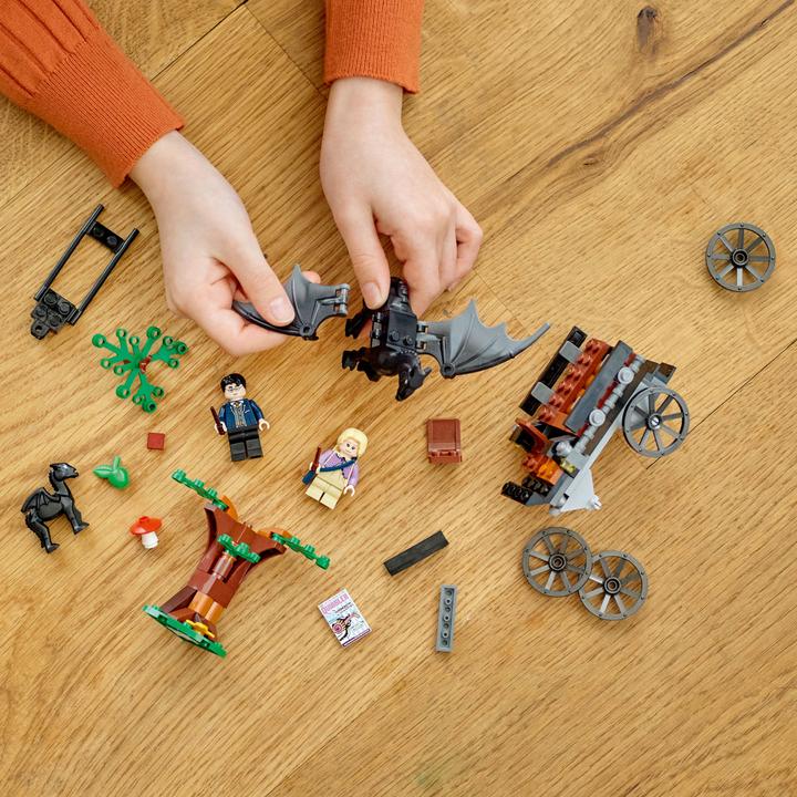 Image du produit LEGO Poudlard : calèche avec Thestralen (76400, LEGO Harry Potter)