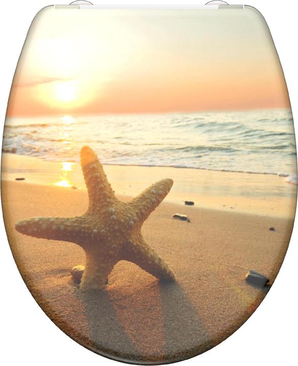 Sea Star