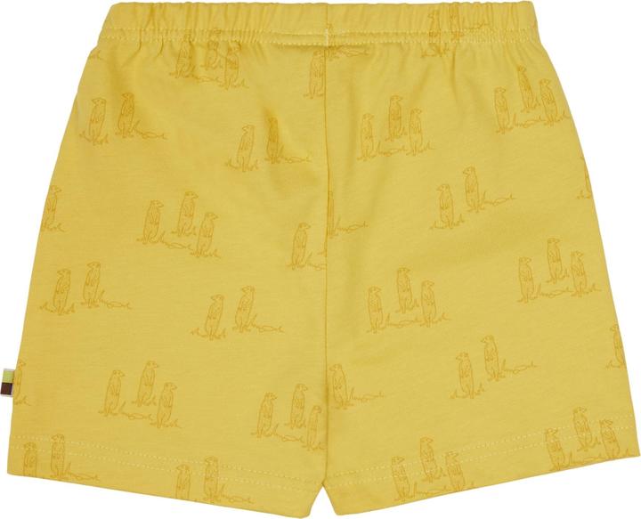 Actual product image loud + proud Short pressure (80)