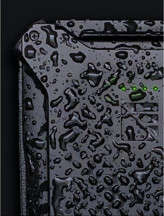 Actual product image DarkEnergy Poseidon Pro (10200 mAh, 18 W, 184 Wh)