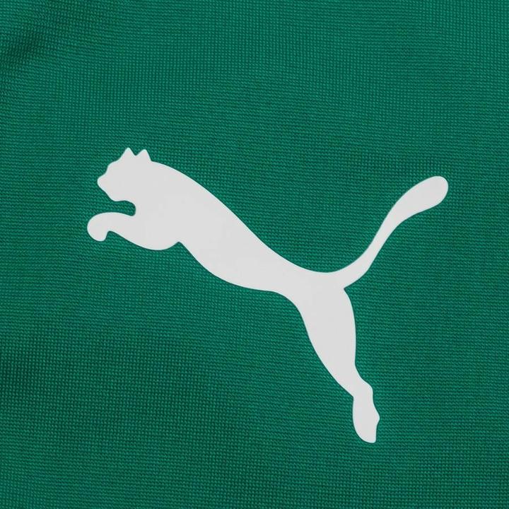 Actual product image Puma teamLIGA 1/4 Zip Top-657236 (XXL)