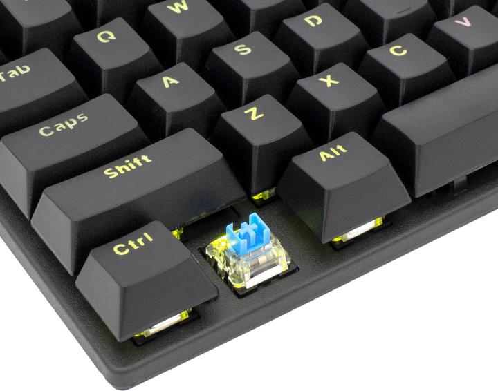 Actual product image White Shark Commandos BS (US, Cable)
