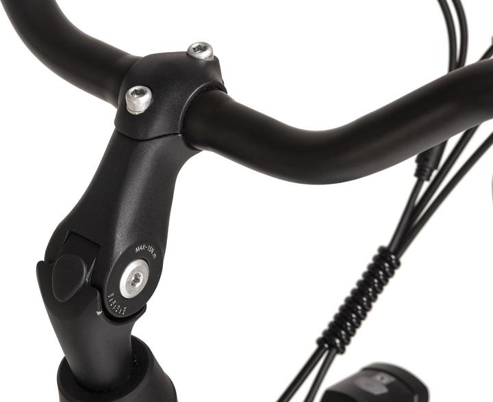 Actual product image Adore E-city bike ladies Hollandia Lido 28" e-bike 7 gears (49 cm)