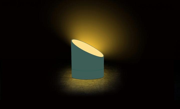 Actual product image Gingko edge light
