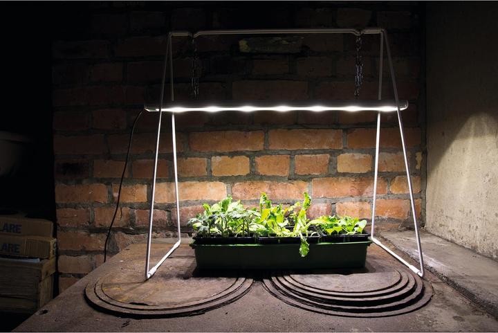 Immagine prodotto Venso Growlight Duo (LED, 245 V)