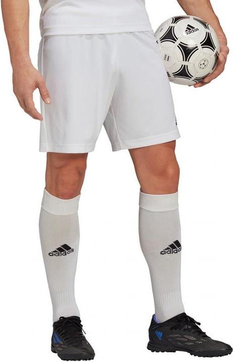 Actual product image adidas Entrada 22 Shorts Men (3XL)