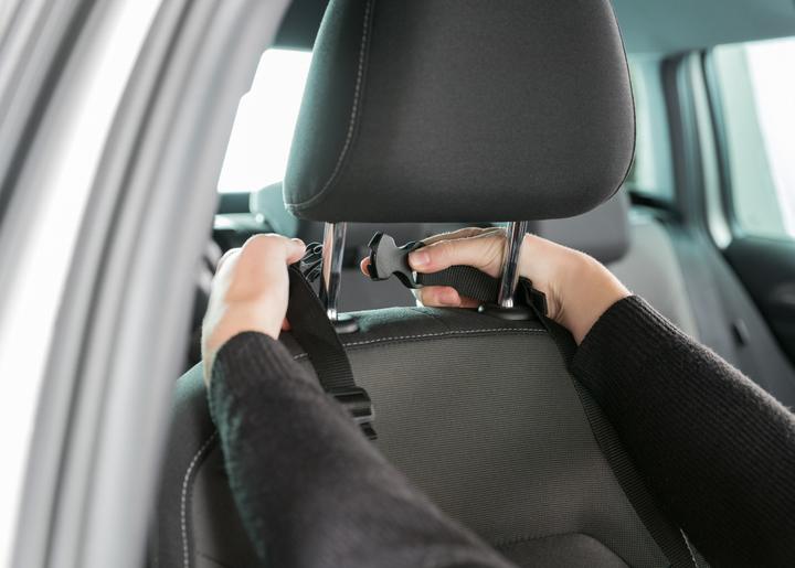 Actual product image Trixie Car seat (Dog, Safety closure)