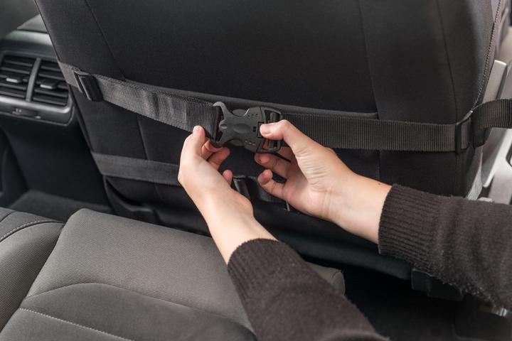 Actual product image Trixie Car seat (Dog, Safety closure)