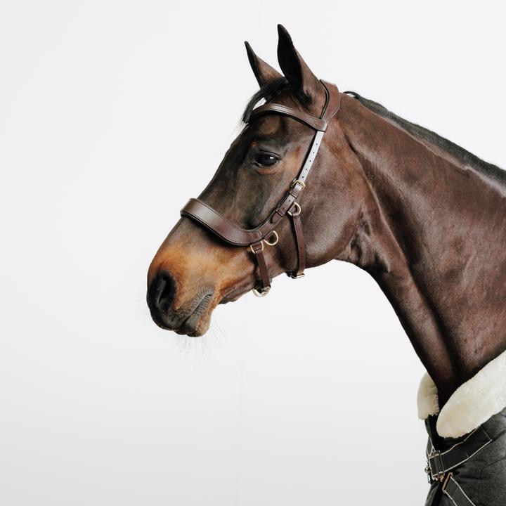 Immagine prodotto Fouganza Briglia senza morso per cavallo/pony marrone