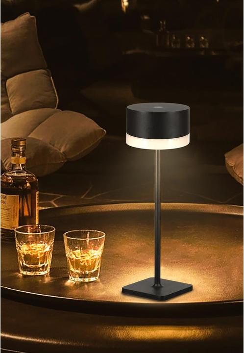 Image du produit Schönenberger Surya (220 lm)