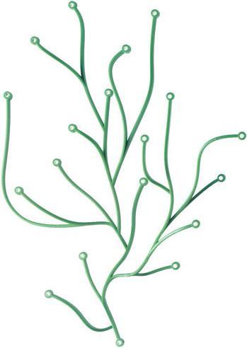 Produktbild Vitra Algue