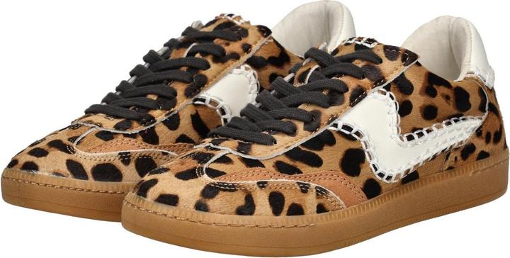 Immagine prodotto Dolce Vita Sneaker (36)
