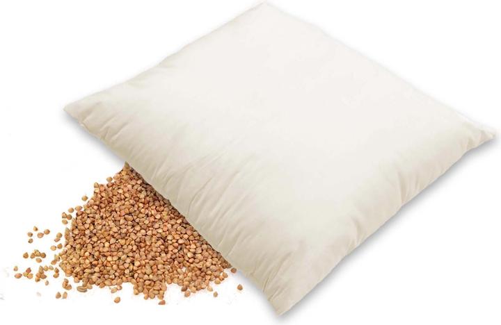 Immagine prodotto Erzstef Cuscino di pula di grano saraceno (65 x 65 cm)