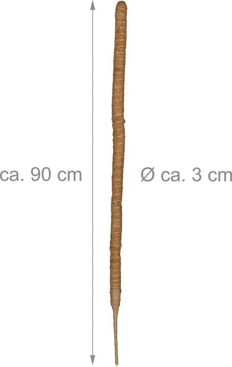 Image du produit Relaxdays Tiges de coco (3 cm, 3 cm)