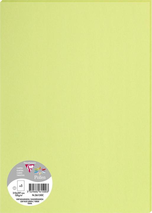 Produktbild Pollen Papier (120 g/m², 5 x, A4)