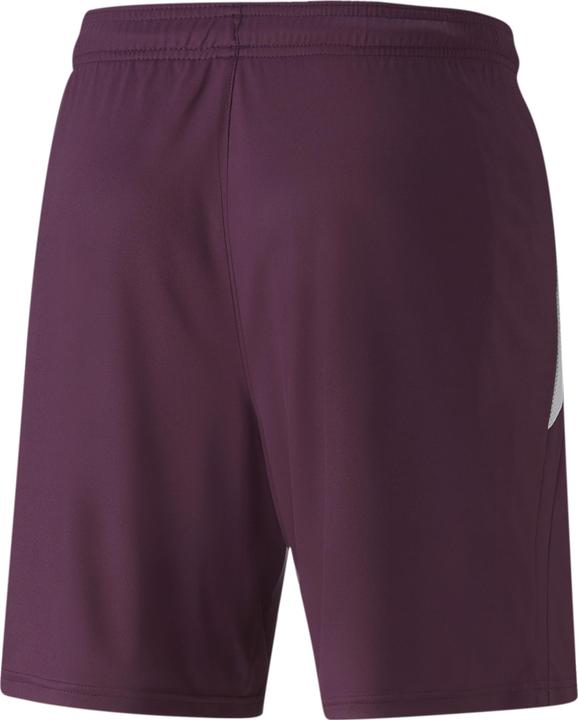 Actual product image Puma teamLIGA shorts (XXL)