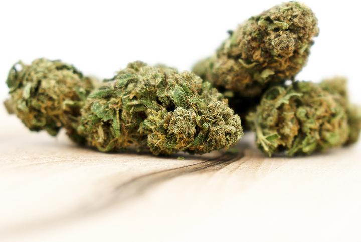 Produktbild Herba di Berna Orangello (45 g, Outdoor)