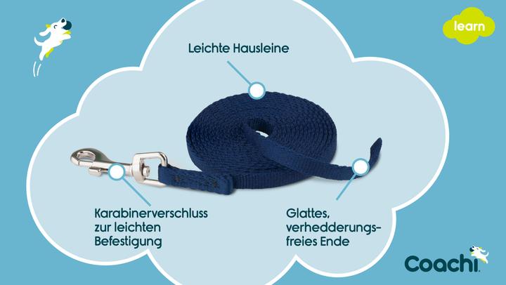 Actual product image Company of Animals Coachi drag line puppy (2.5, Dog, Dog sport)