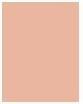 Actual product image Rimmel London RIMMEL High'light highlighter 002 Candlelight 8g (002 Candlelit, Highlighter, 8 g)