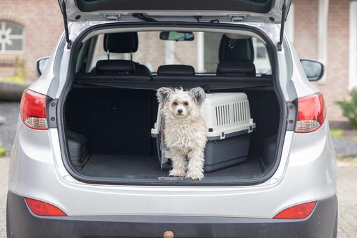 Produktbild Karlie Nomad (Hund, Katze, Abschliessbar)