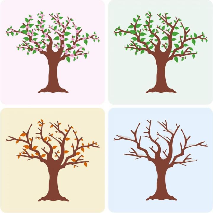 Actual product image Trenddeko Four Seasons Quartet (100 x 100 cm)