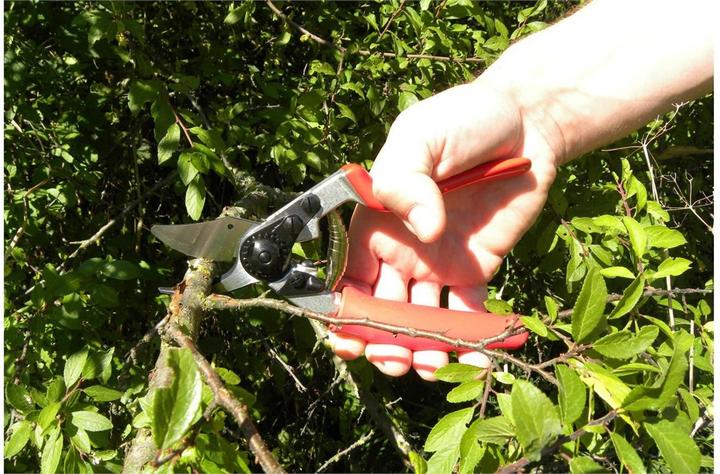 Produktbild Felco Gartenschere 12