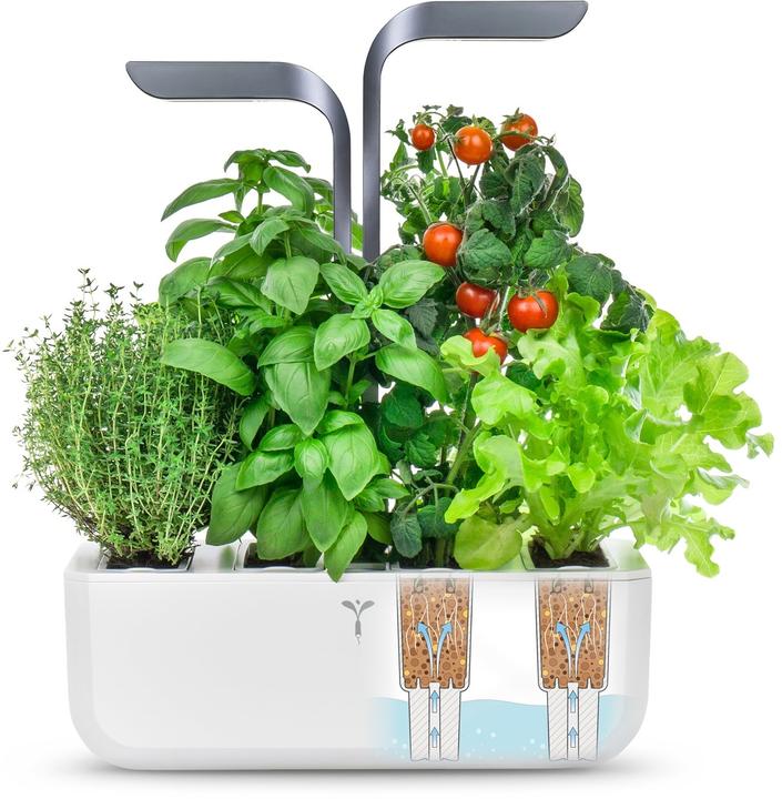 Actual product image Véritable Connect Indoor Garden (18 cm)