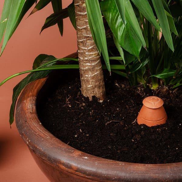 Image du produit WePot Olla M