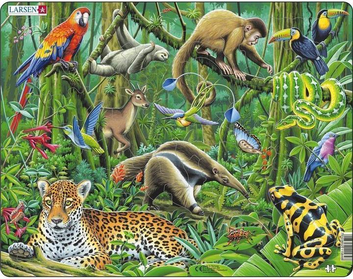 Immagine prodotto Larsen Foresta pluviale sudamericana (70 pezzi)