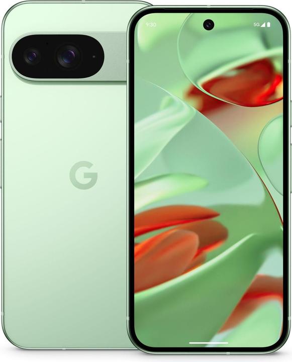 Google Pixel 9 (256 GB, Wintergreen, 6.30", Dual SIM, 50 Mpx, 5G)