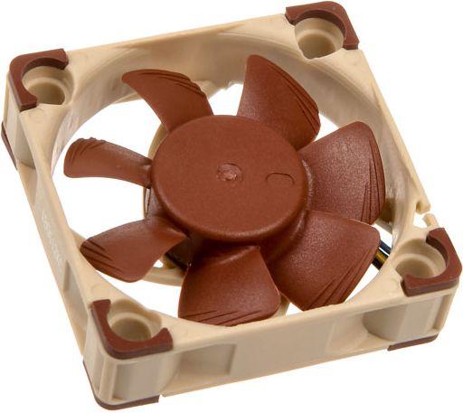 Image du produit Noctua NF-A4x10 PWM (40 mm, 1 x)