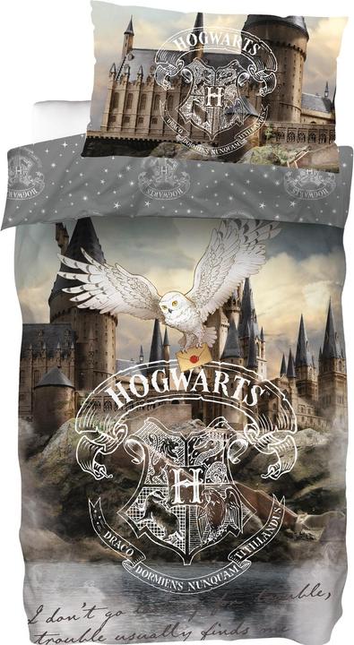 Image du produit SkyBrands Harry Potter Château de Poudlard