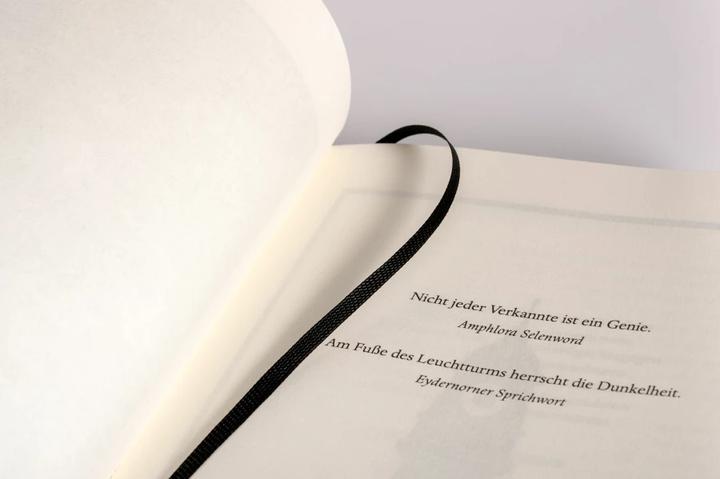 Produktbild Die Insel der tausend Leuchttürme (Deutsch, Walter Moers, 2023)